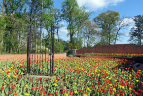 Atlanta Botanical Garden