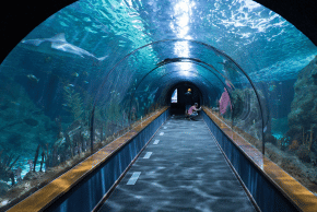 ロッテ水族館