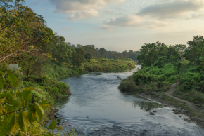 ネパール チトワン国立公園