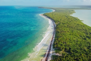 シアン・カアン