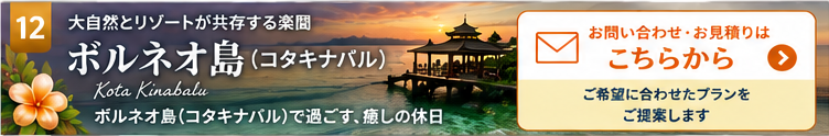 ボルネオ バナー