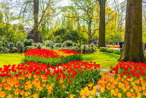 キューケンホフ公園