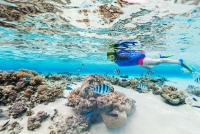 シュノーケリング