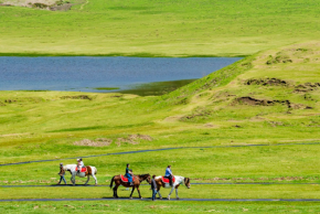 モンゴル　乗馬体験