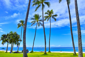 ホノルル　ビーチ