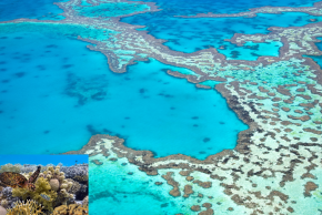 アウターリーフ