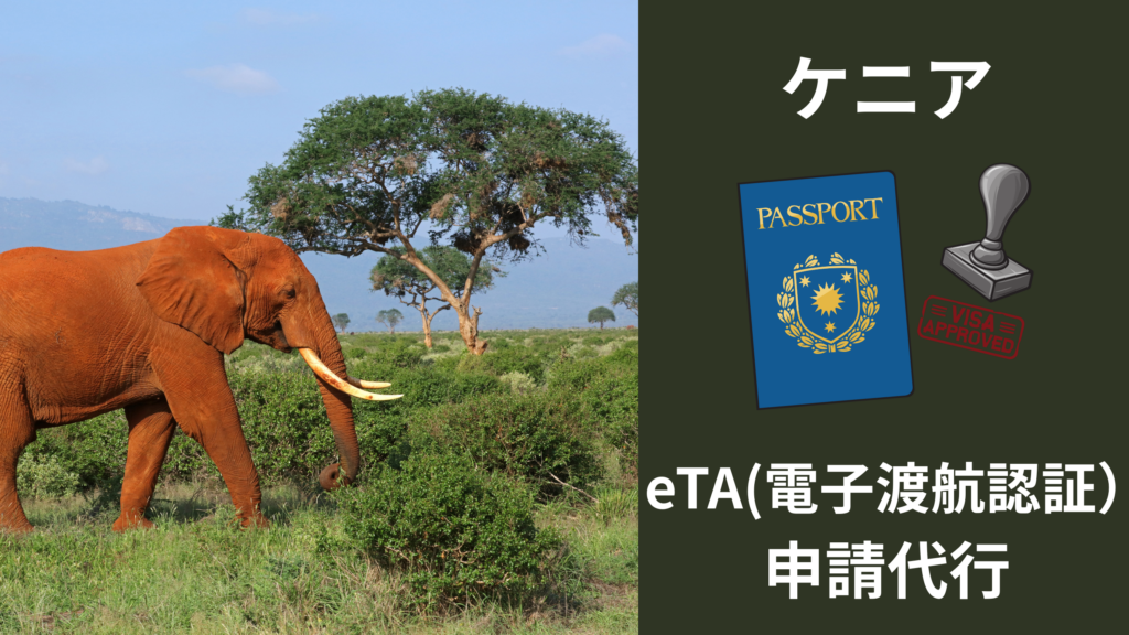 ケニアビザ 手配代行