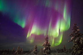 サーリセルカ オーロラ (2)