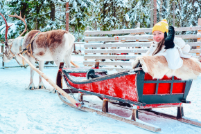 サーリセルカ トナカイぞり