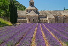 セナンク修道院