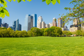 セントラルパーク