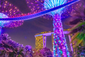 シンガポール　Garden Rhapsody