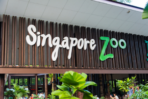 singapore zoo exterra