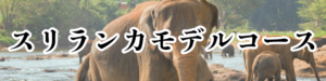 スリランカバナー