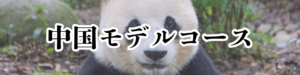 中国バナー