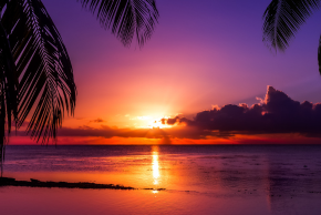 ビーチの夕日