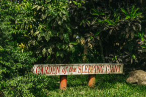 Credit Andrew Lewthwaite – “Garden of the Sleeping Giant”