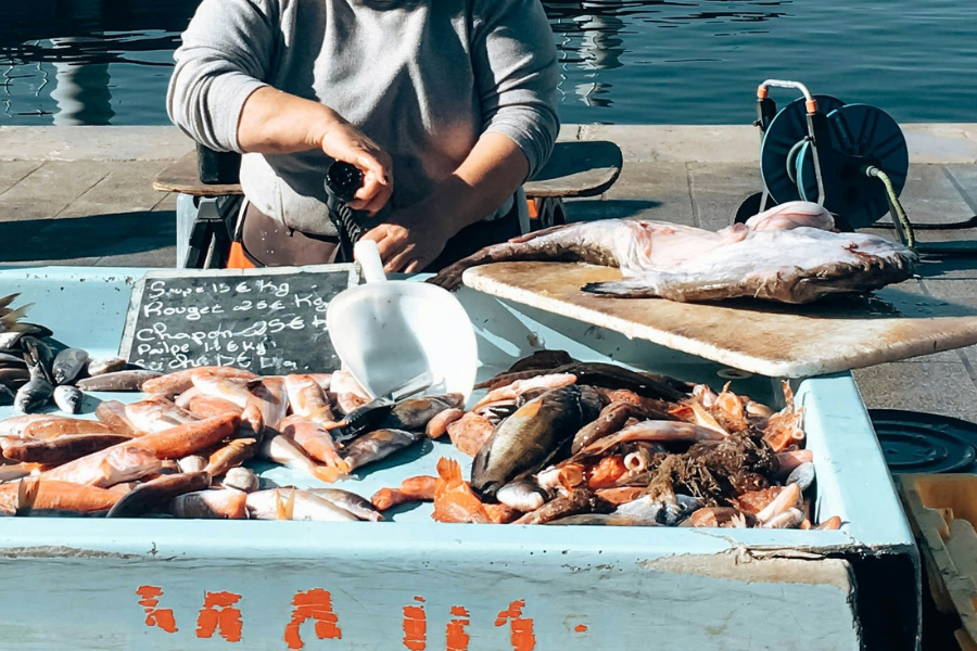 魚市場 マルセイユ
