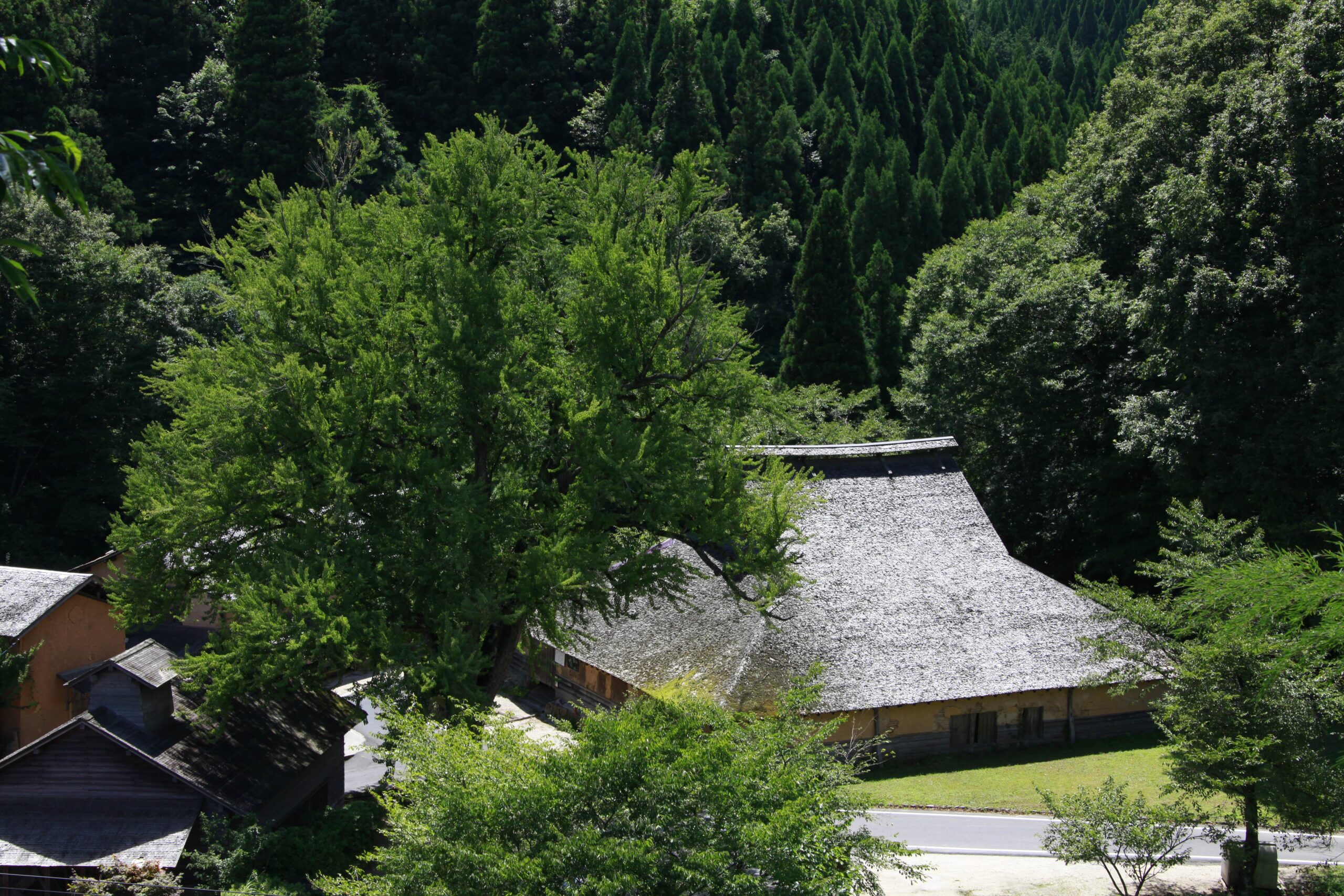 歴史を感じる日本の木造建築と里山の風景