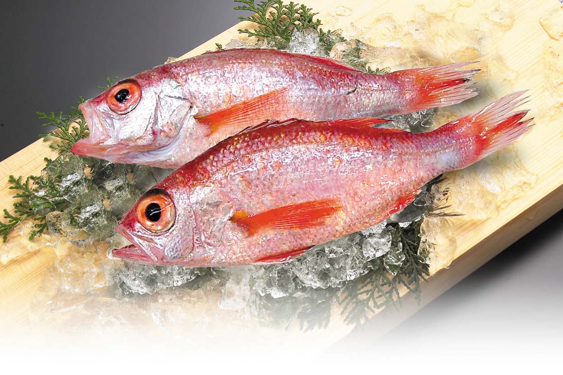 新鮮な海の幸と高級魚のどぐろイメージ