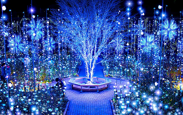 あしかがフラワーパーク