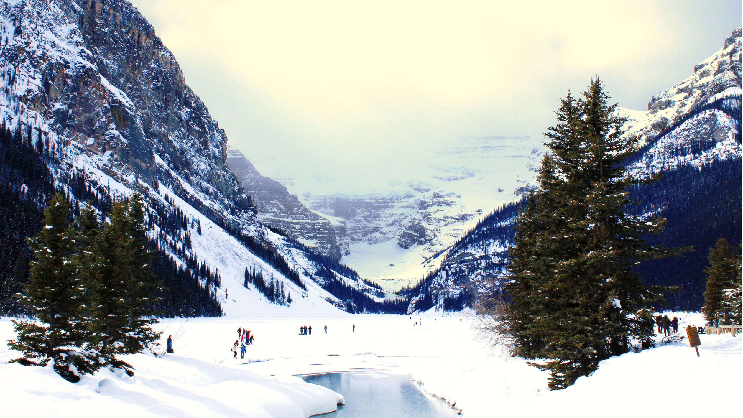 冬のカナディアンロッキー