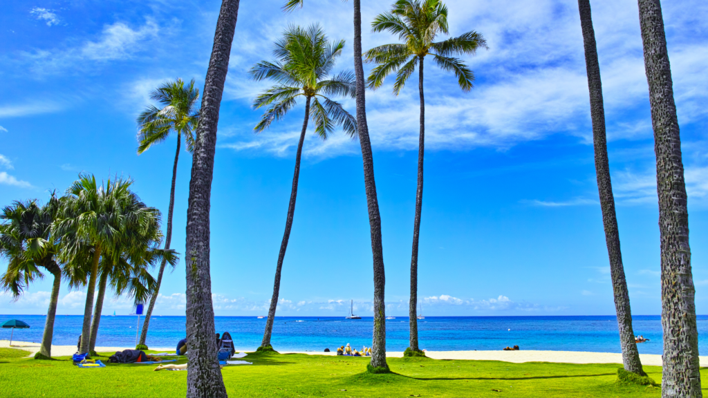 ホノルル　ビーチ