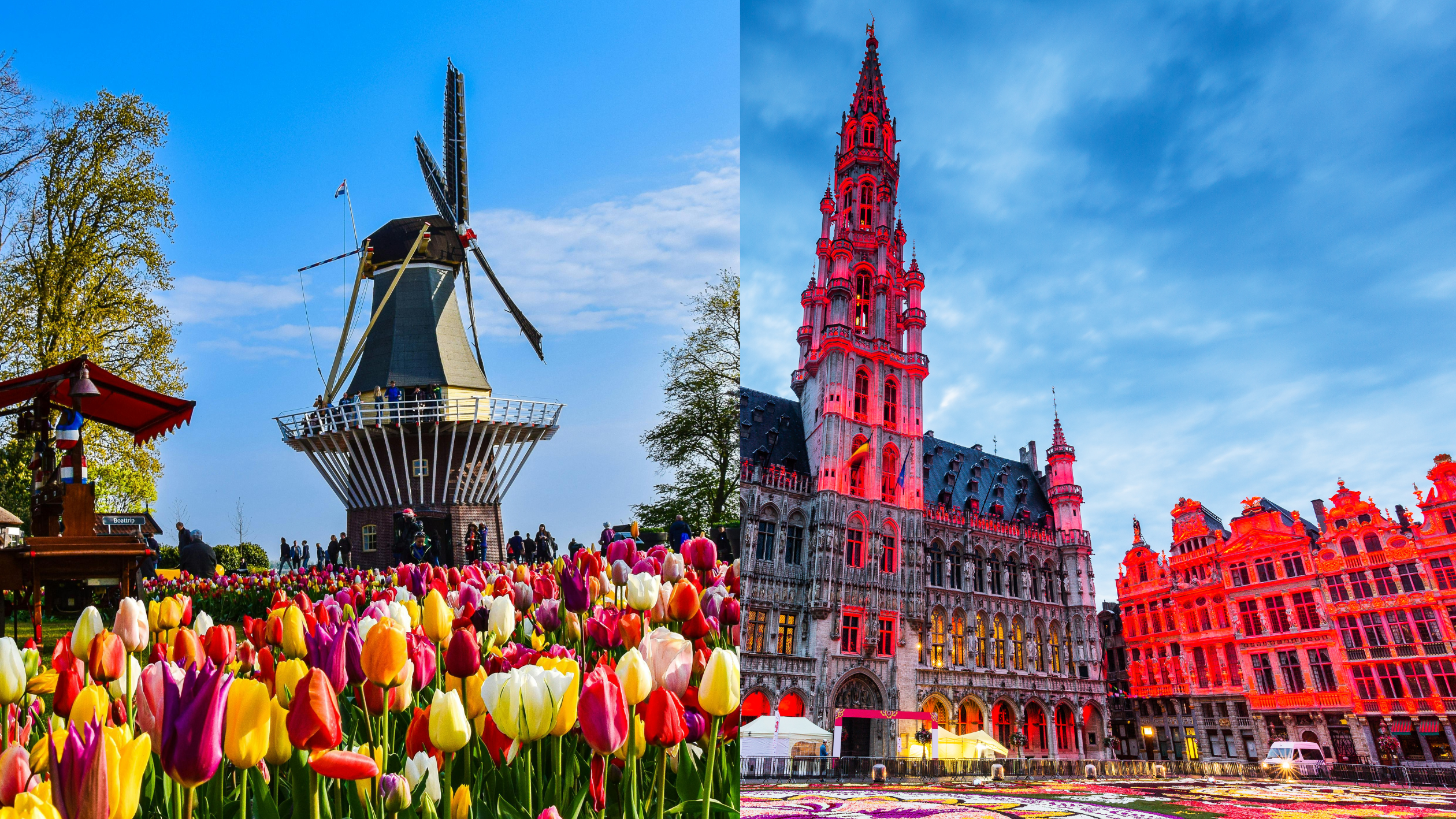 オランダ＆ベルギー