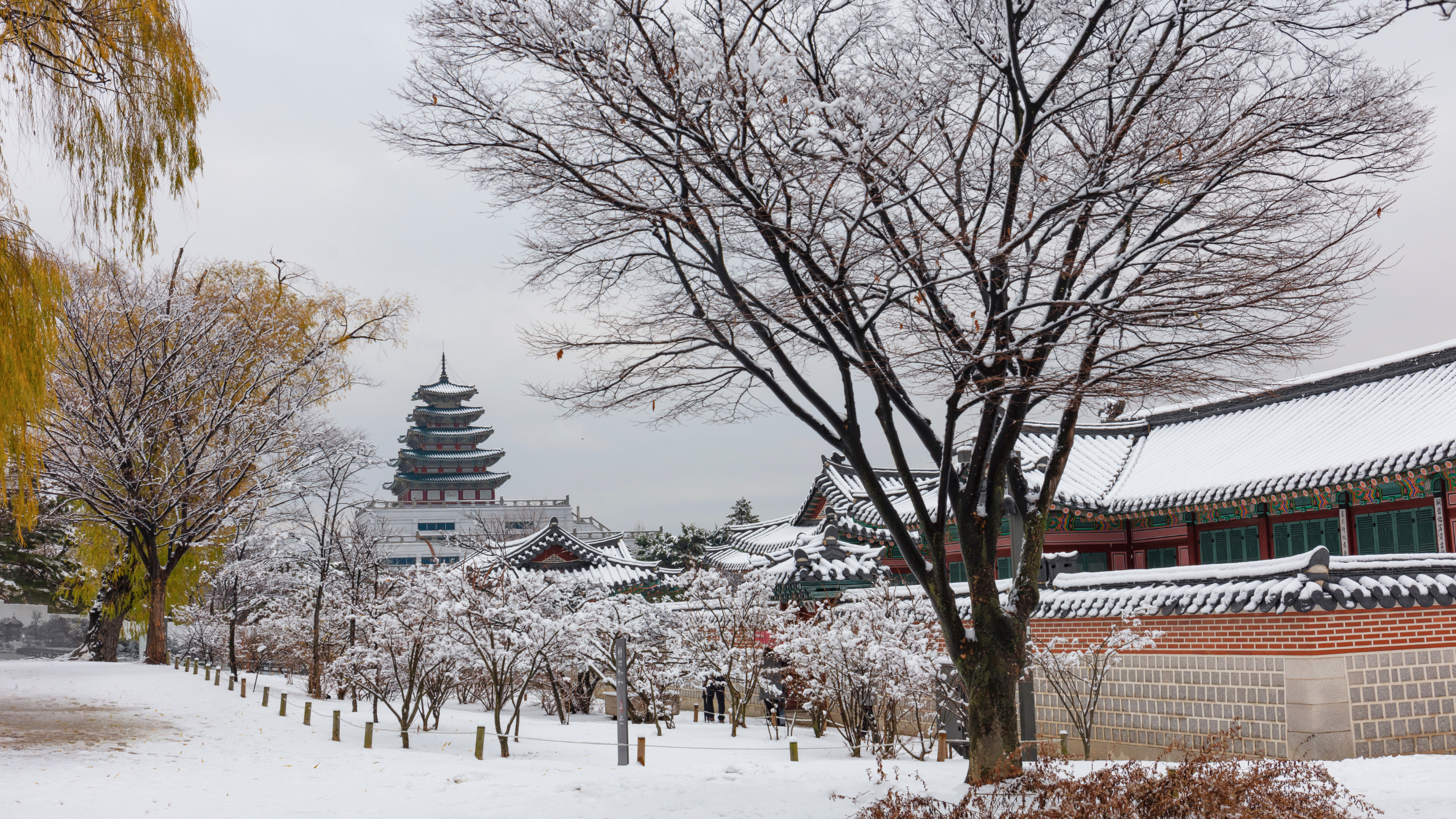 ソウル　韓国　冬