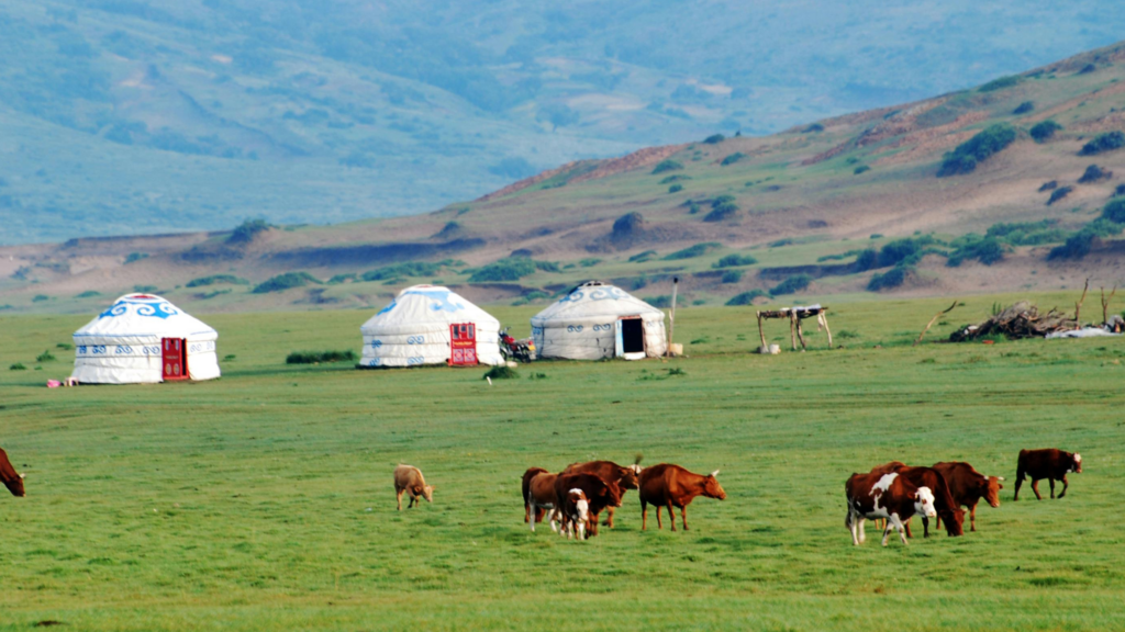 モンゴル　ゲル