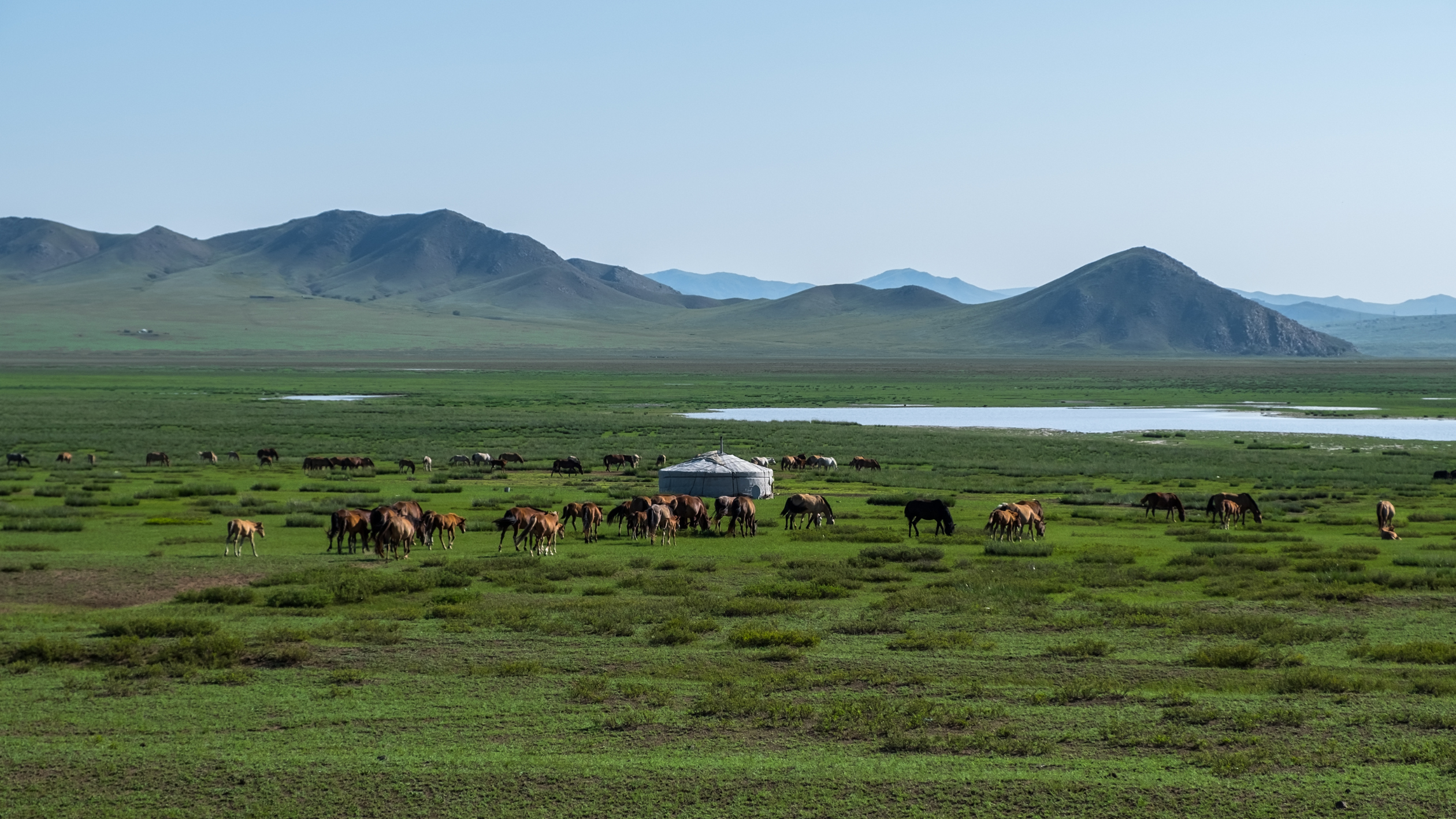 モンゴル草原
