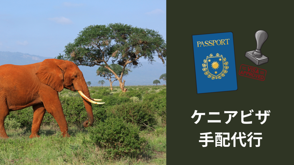 ケニアビザ 手配代行