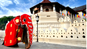 スリランカ 仏歯寺