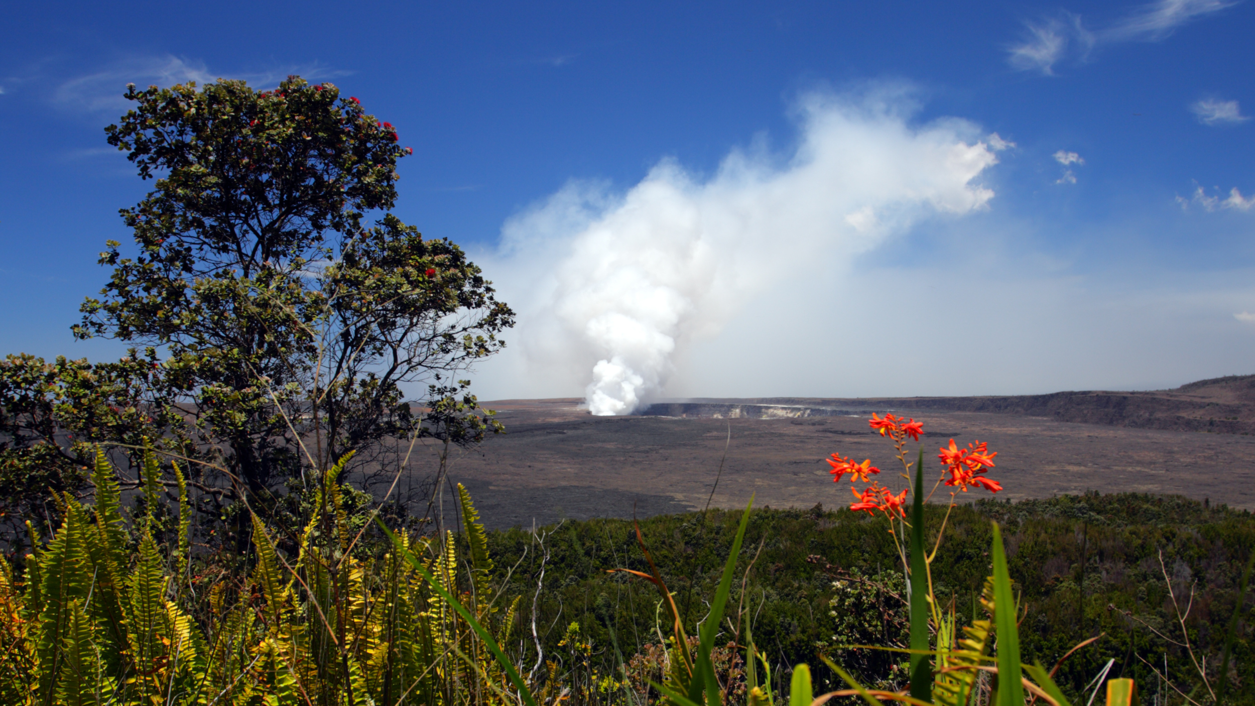 ハワイ火山国立公園