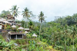 バリ島のウブド