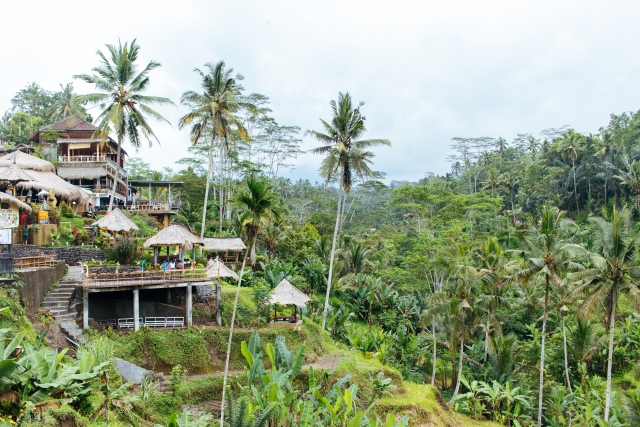 バリ島のウブド