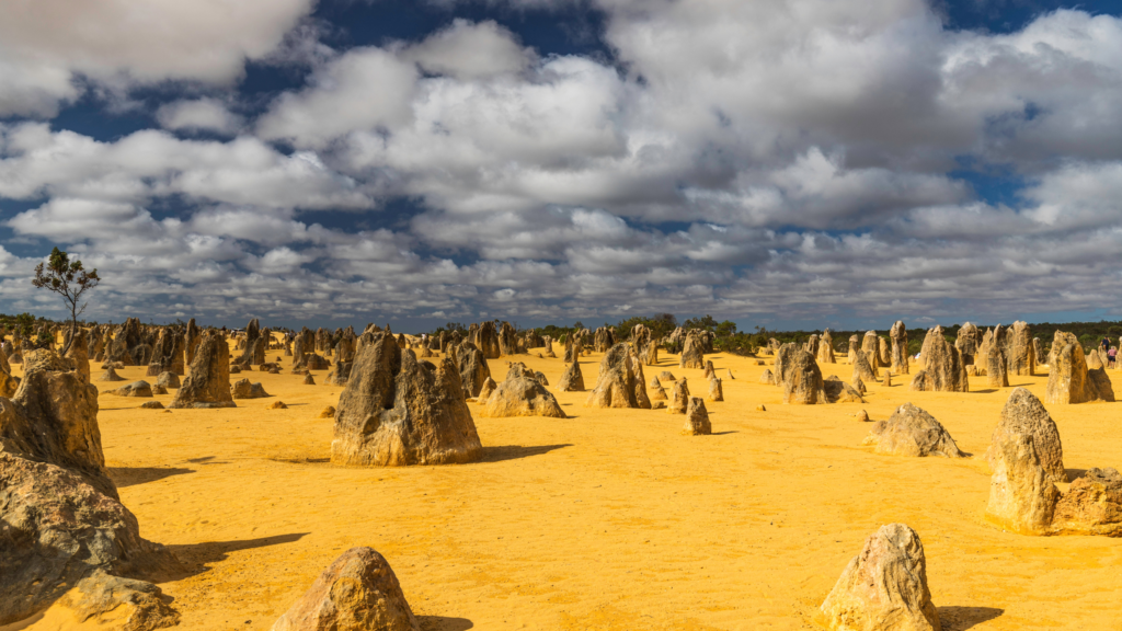 パース　ピナクルズ