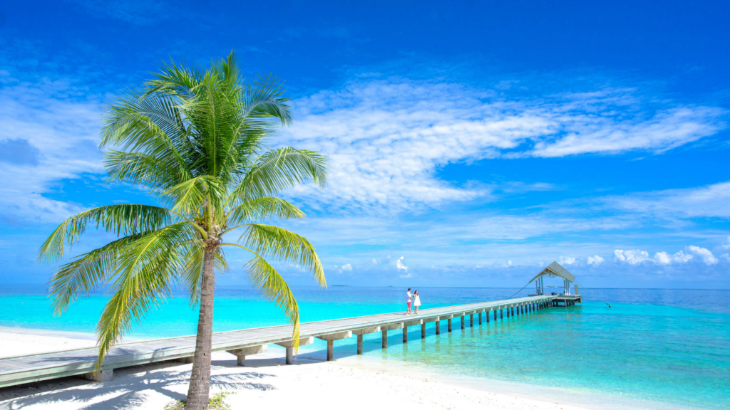 タヒチハネムーン