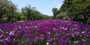 大村公園