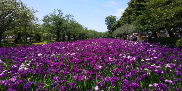 大村公園