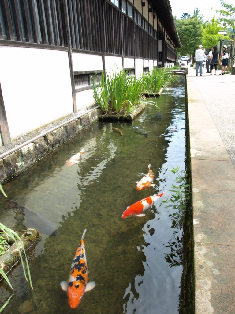 津和野町(殿町通り）